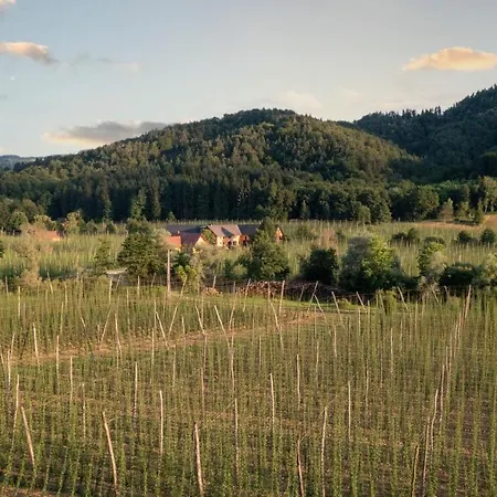 Tatil Evi Treissmann An Der Weinstrasse *