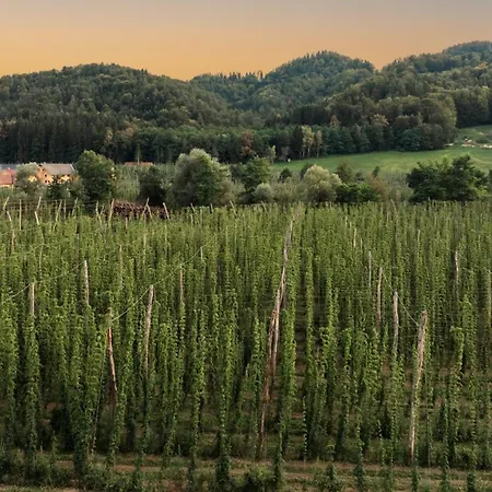 Treissmann An Der Weinstrasse * Leutschach