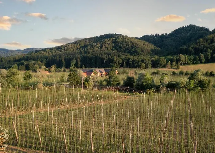 بيت للعطل Treissmann An Der Weinstrasse *