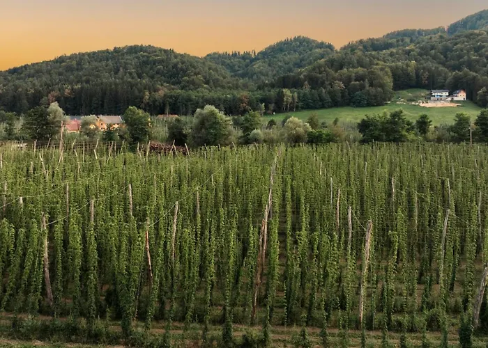 Treissmann An Der Weinstrasse * ليوتسشاخ
